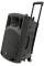 Portable PA with UHF, USB/SD/FM & Bluetooth - Next Day Delivery